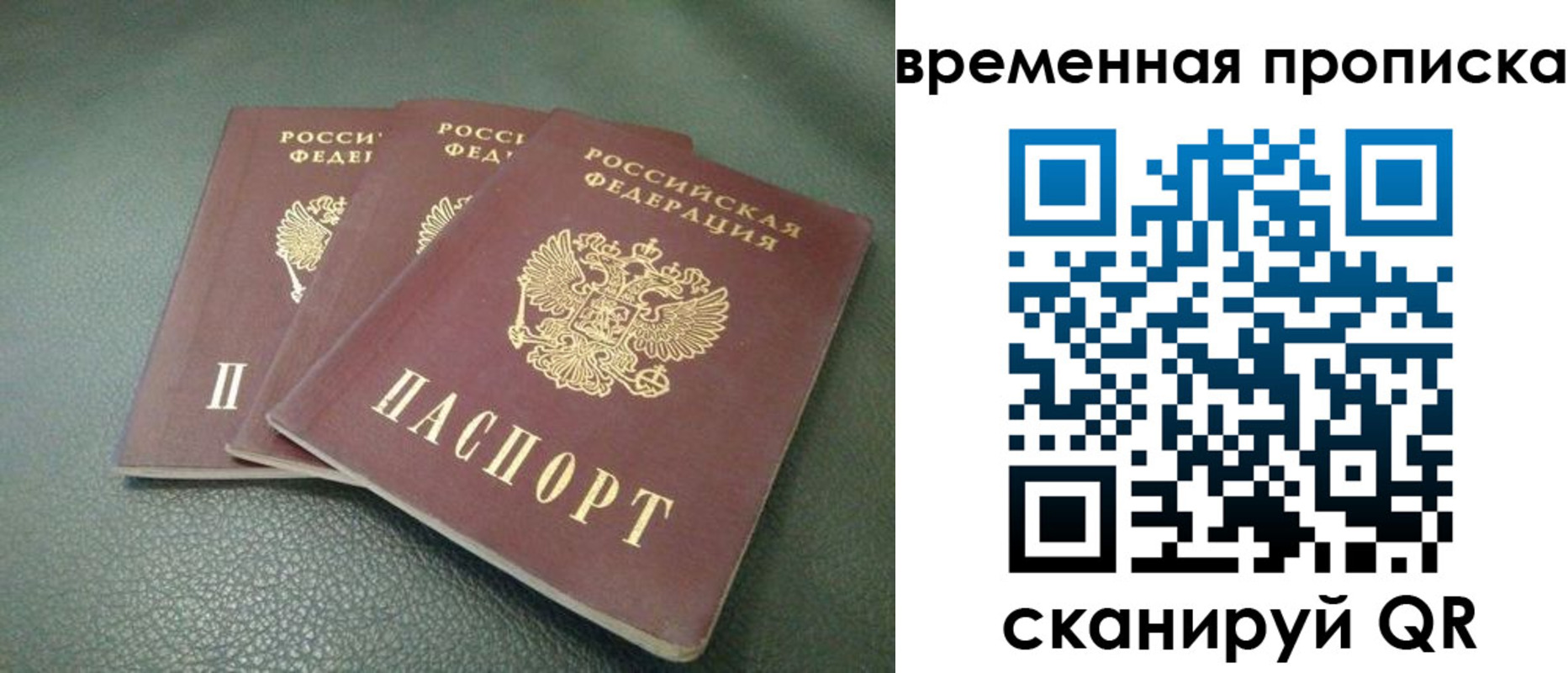 прописка гарантия в Жукове